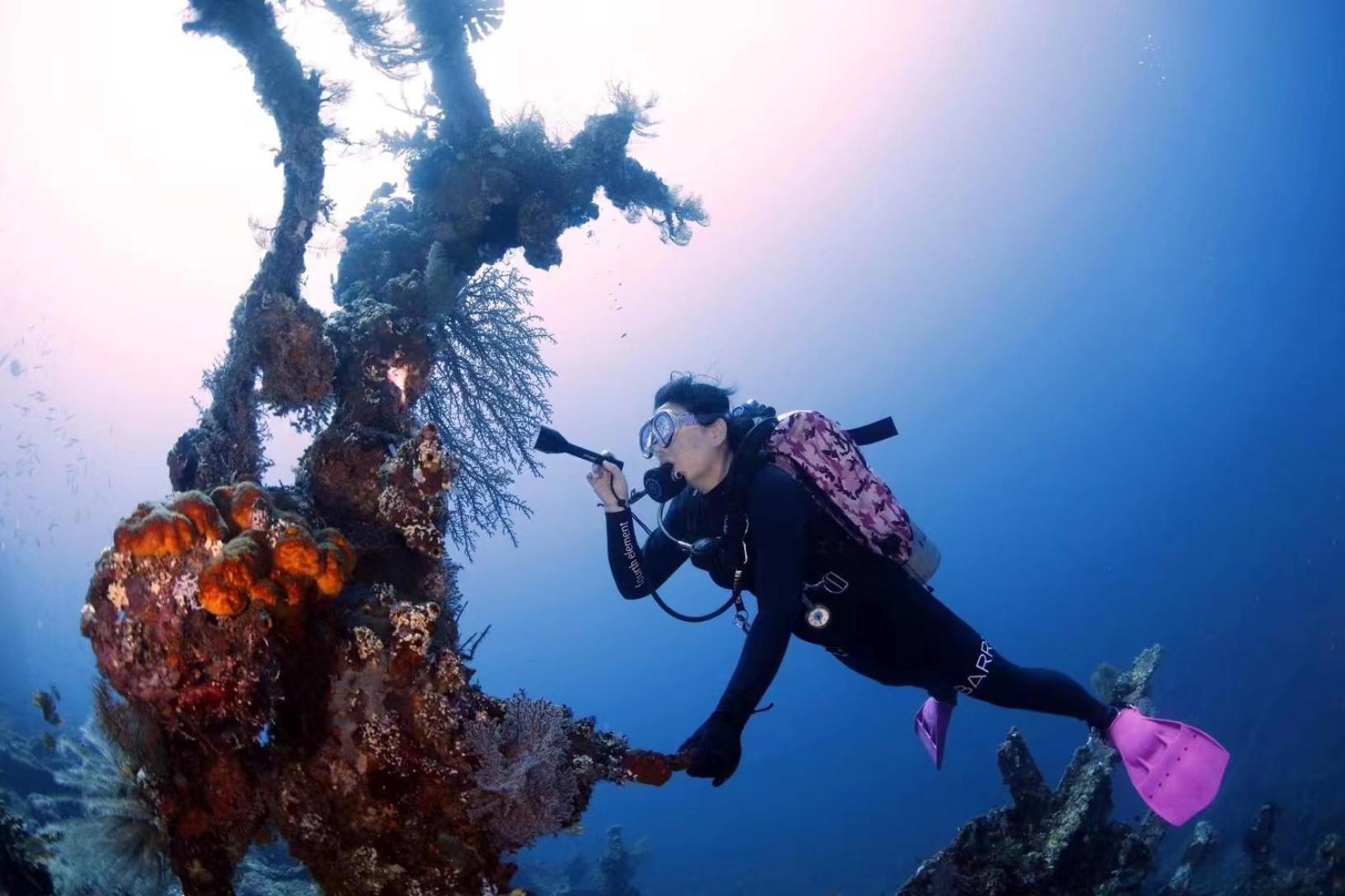 Villa Alba Bali Dive Resort Tulamben Eksteriør bilde