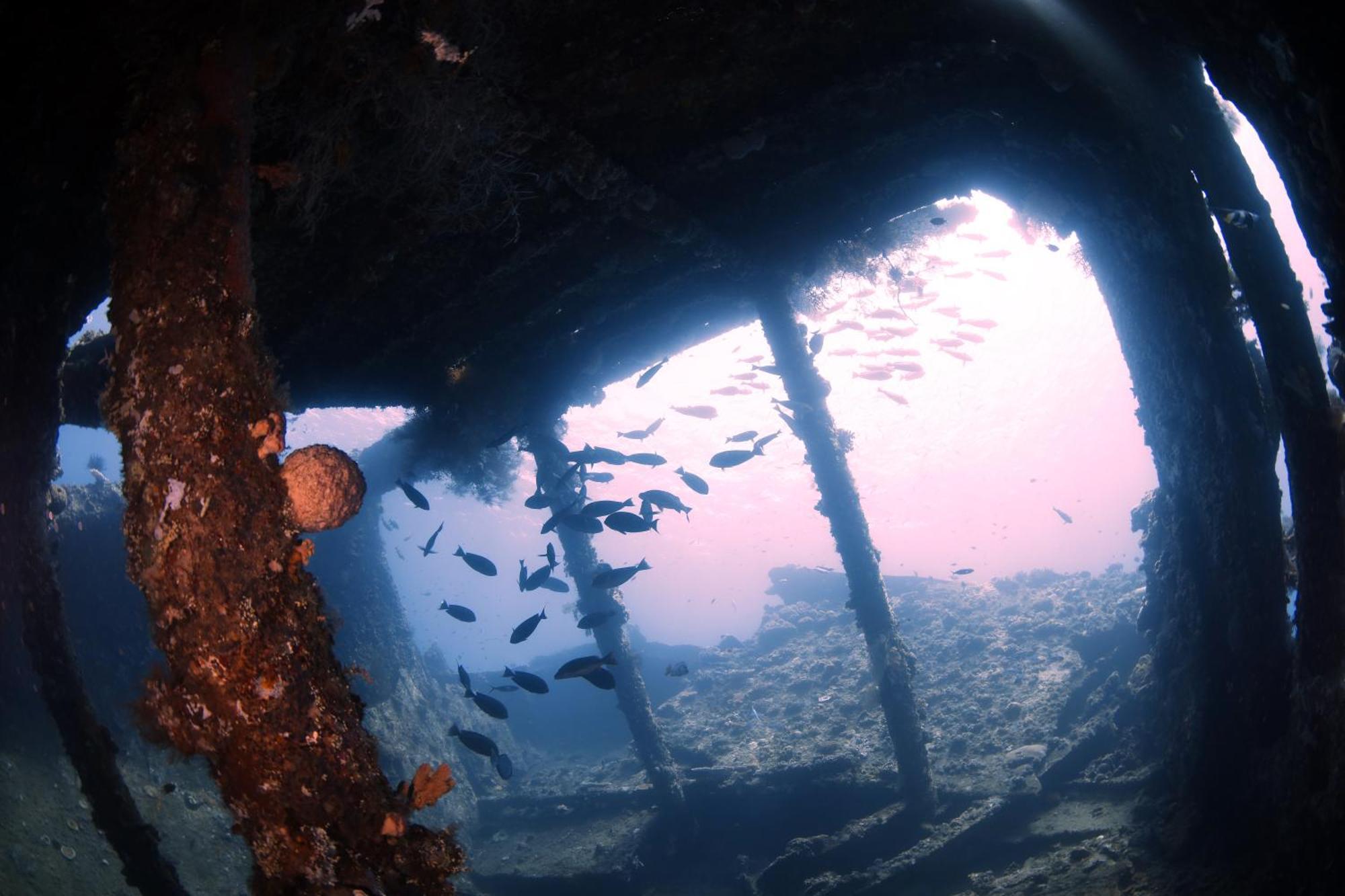 Villa Alba Bali Dive Resort Tulamben Eksteriør bilde